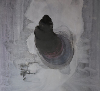 Složení:
lepidlo, vosk, tempera, grilovací koření, vazelína, parfém Intimately Beckham, prací prášek Rex, omítka