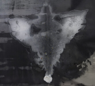 Složení:
tempera, olej, Paralen 500, vlasy, korálky, zlatý lesk, tuž, nehty, suché listí, zubní pasta Elmex, hlína, pavučina, Střevlík kožitý